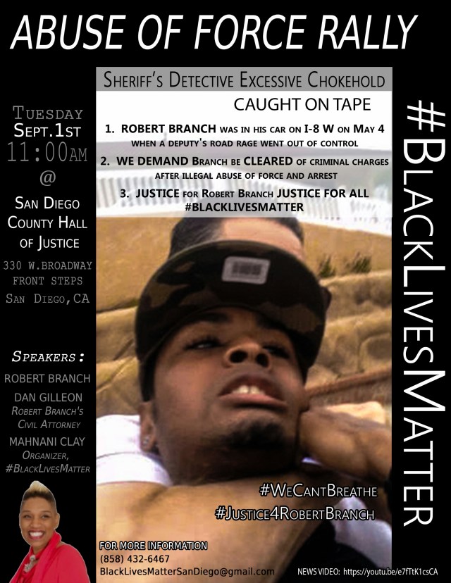 Abuse of Force Rally Image 2-7.jpg image