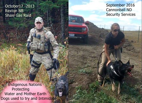 Can You Shoot A Dog In Self Defence